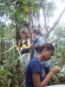 Seychelles Green Education and Research Programmes